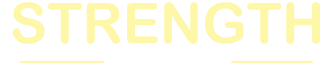 创新能力